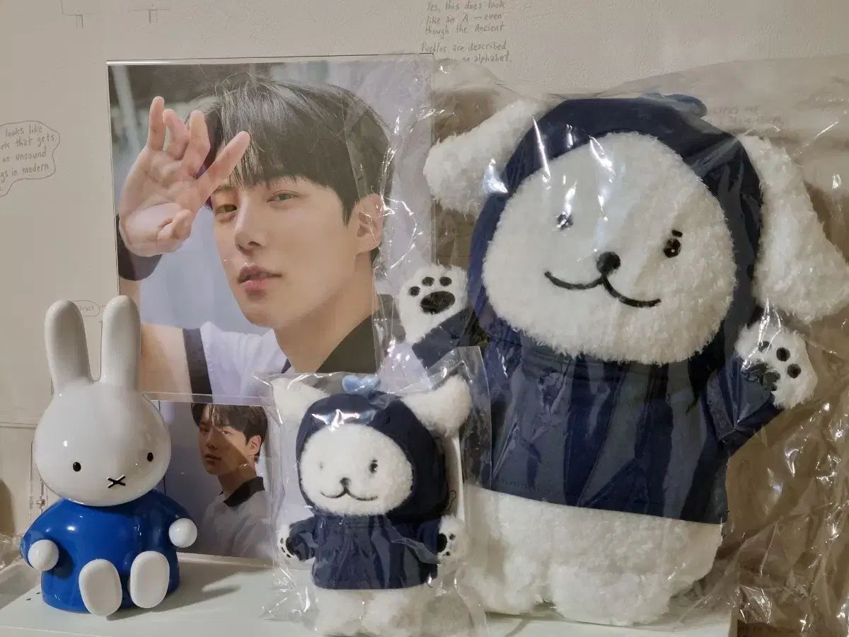 MONSTA X公式ドール ミニミニMEONGKO ミニョクぬいぐるみ セット monsta x ミニョク ぬいぐるみセット MONSTA X ミニョク MEONGKO