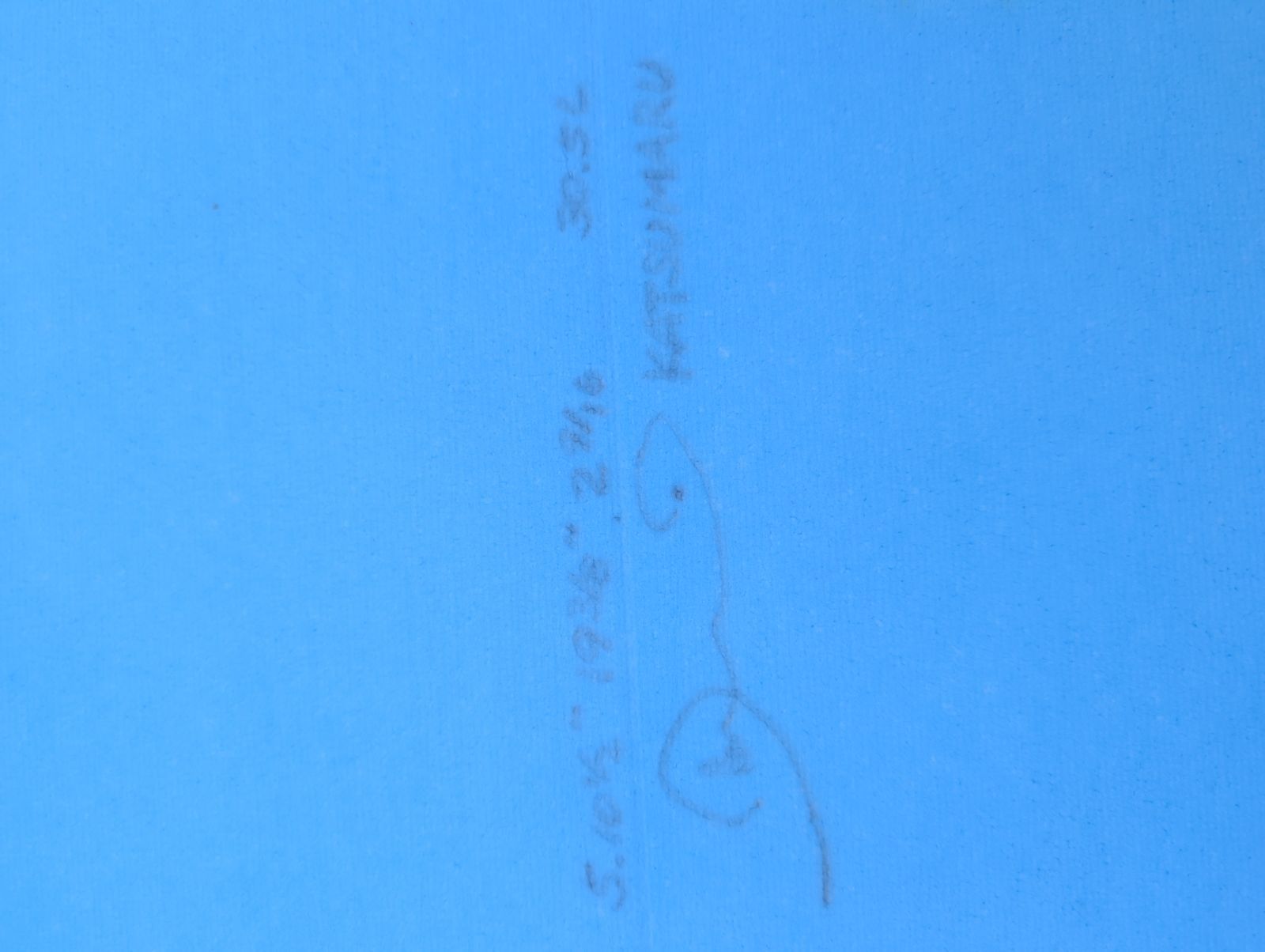 DMS サーフボード ブラックキャット　5.10 DMS サーフボード ブラックキャット DMS サーフボード ブラック