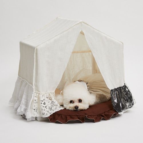 ルイドッグ ピーカブー