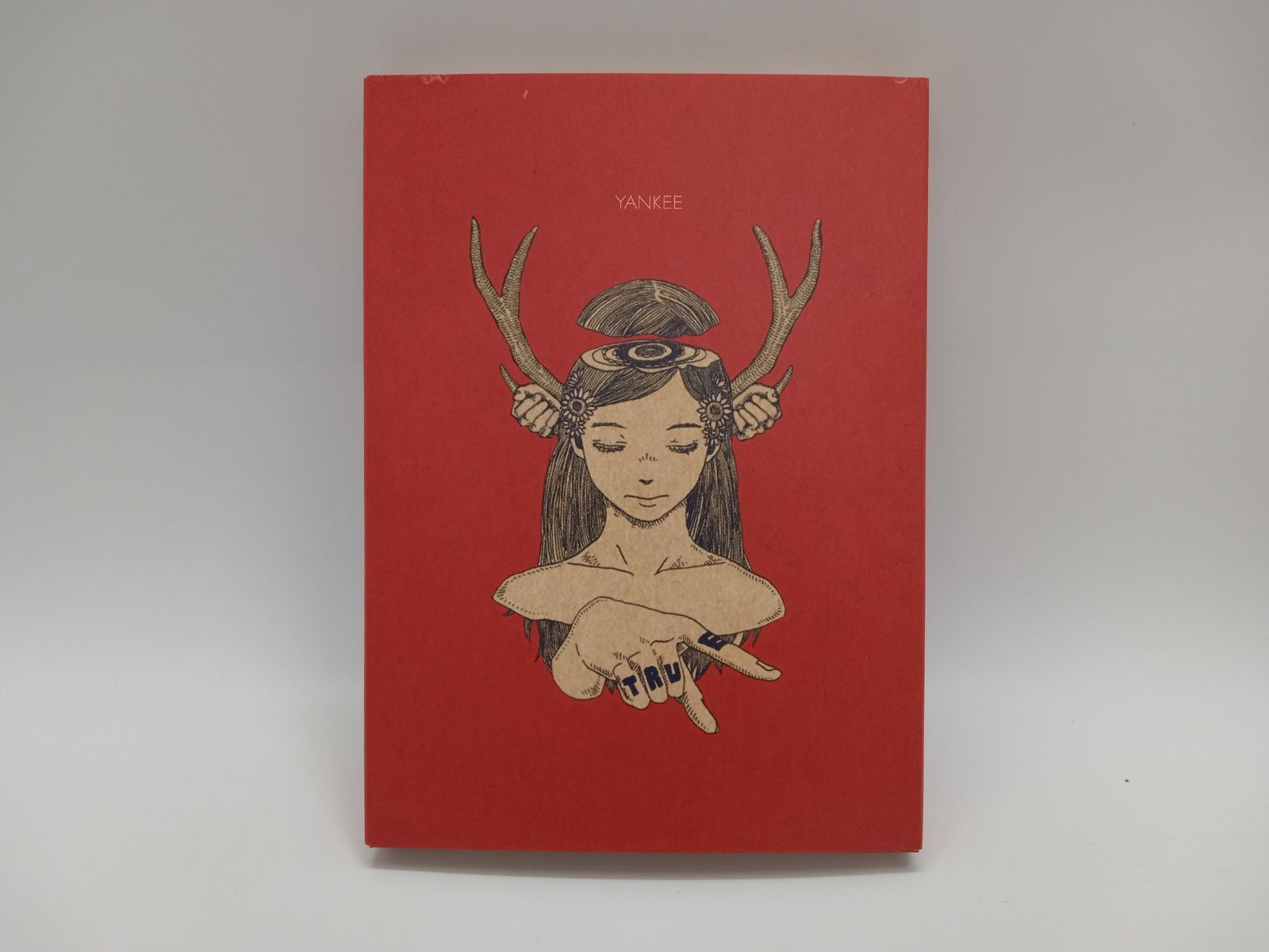 米津玄師 YANKEE (初回限定盤)(画集盤) タワレコ特典クリアファイル付き 米津玄師 YANKEE 初回限定盤 画集盤 米津玄師 YANKEE (初回限定盤