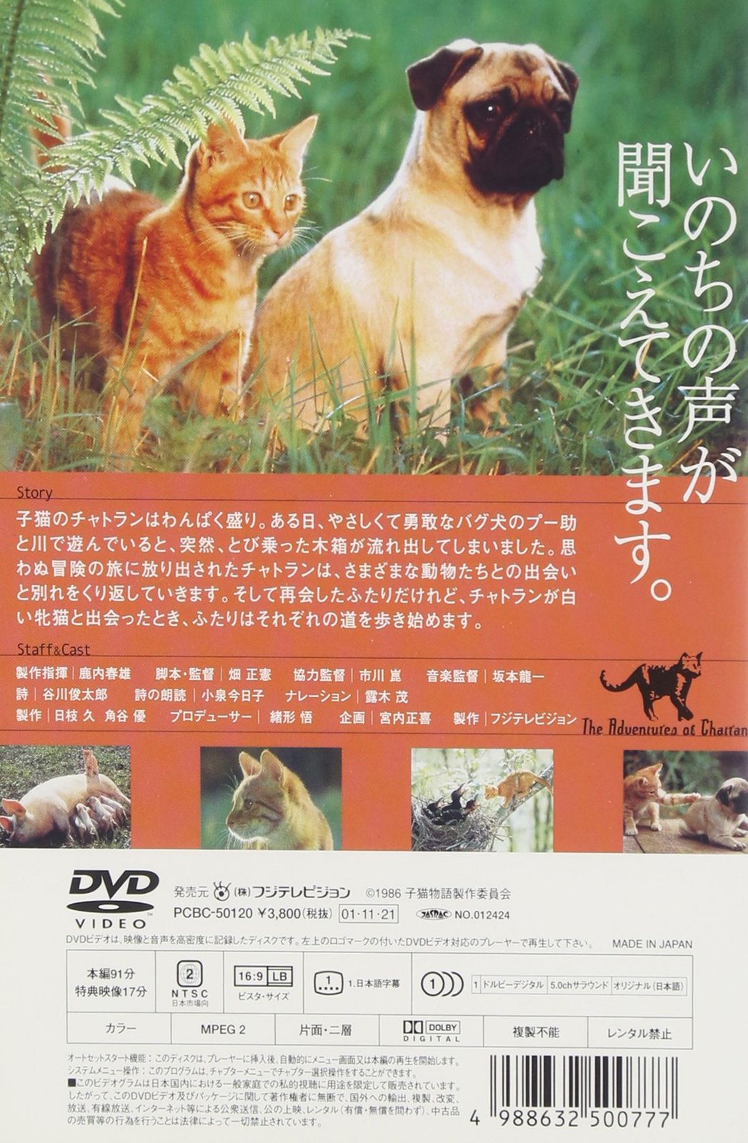 未開封　朗読劇 「猫と裁判」 DVD 新品未開封】子猫物語 [DVD] 畑正憲 (出演 監督 脚本) 形式: DVD