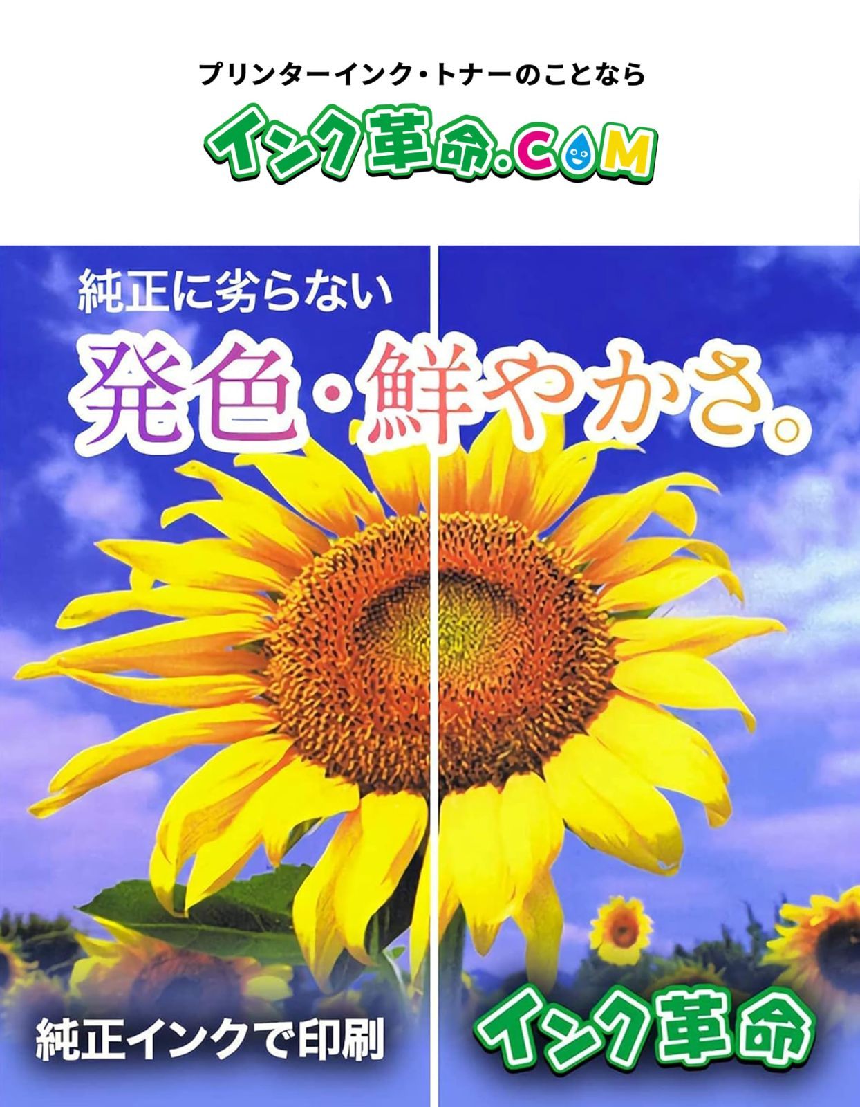 エプソン用