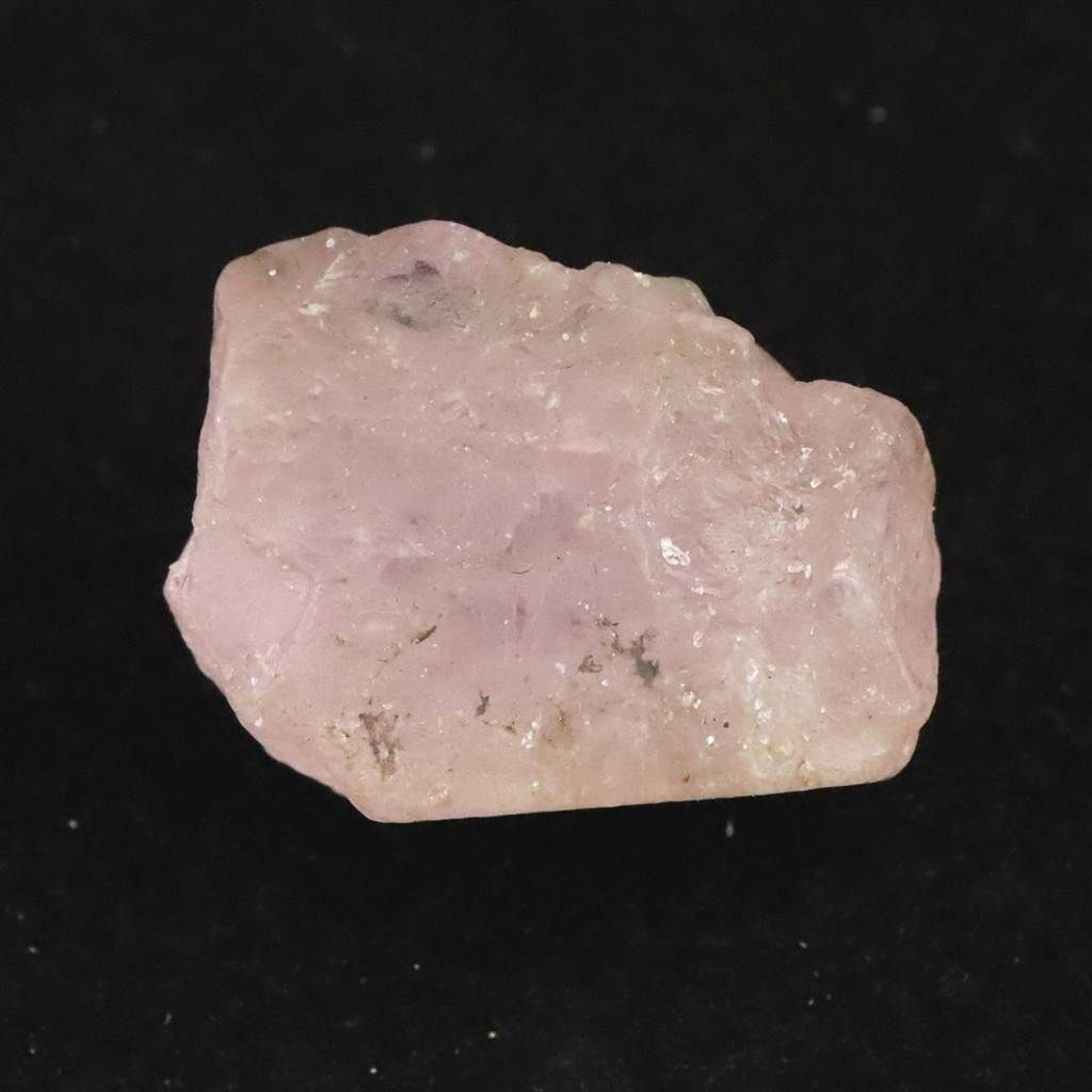 貝桶　2個セット 貝桶 2個セット