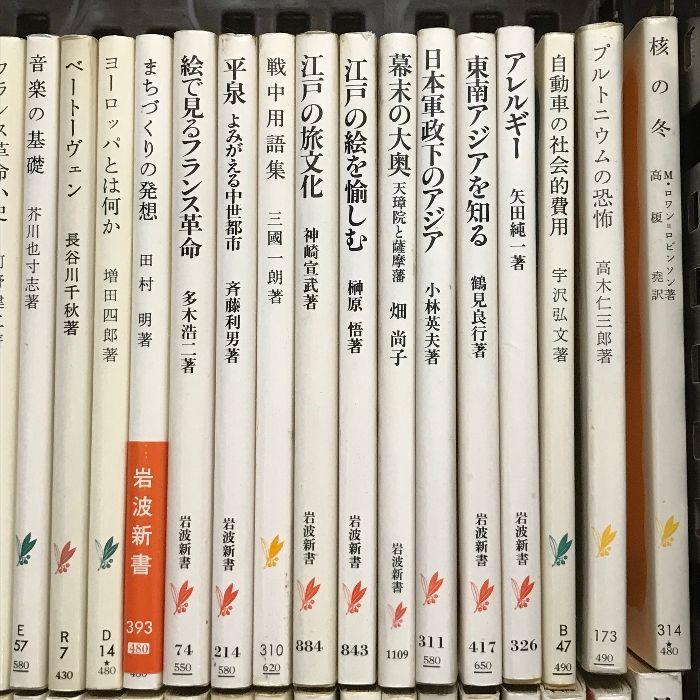 岩波新書 まとめて 100冊以上 セット 日本社会の歴史 民族という名の