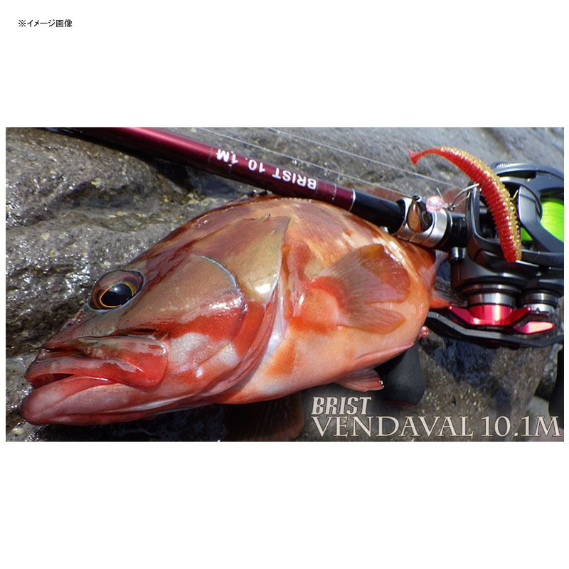 Fishman（フィッシュマン）] BRIST VENDAVAL(ブリスト