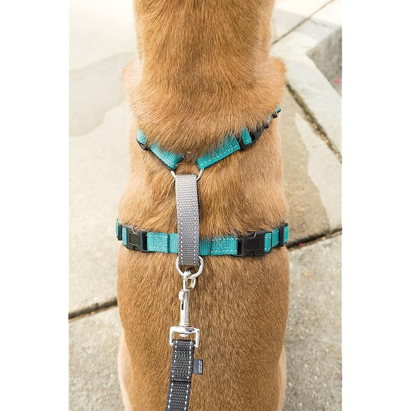 PetSafe