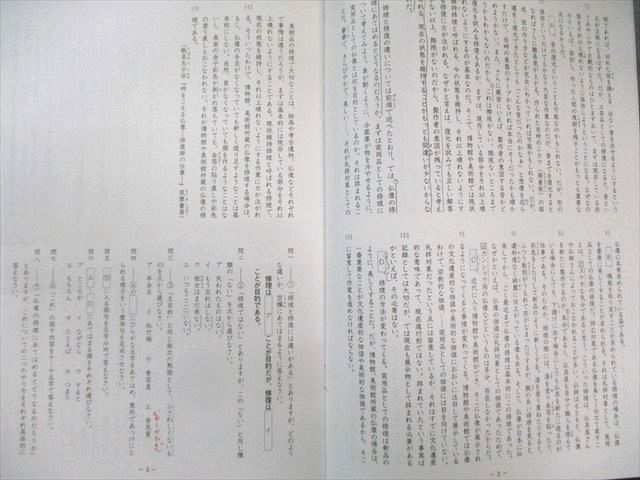 SAPIX サピックス SS特訓 国語 【全14回分フルセット】 2024 017m2D