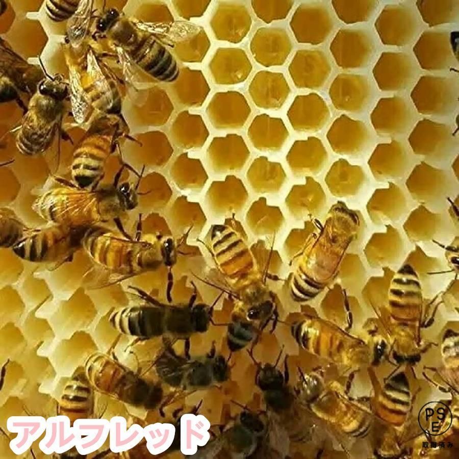 ミツバチ 巣箱 蜜蜂巣箱 4|7個 フローハイブ 蜂巣 巣脾 巣礎 巣枠 ミツバチ巣 自流蜜蜂巣 採蜜器 蜜蜂飼育 ミツバチ飼育 自動ハチミツ採取