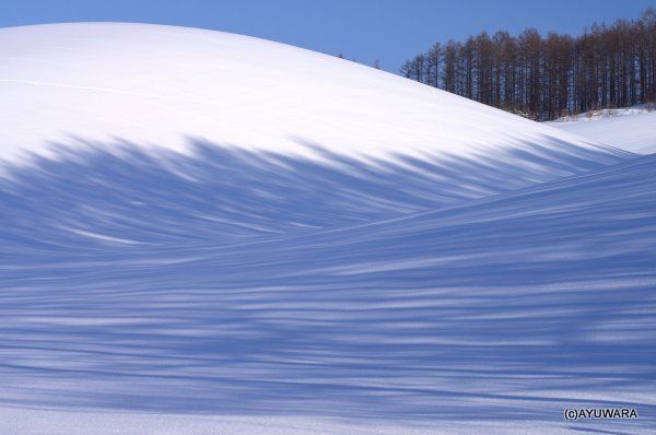 高橋真澄 インテリア