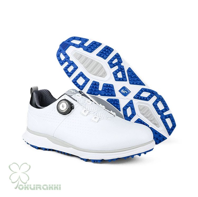 美品 27.5㎝】ナイキ NIKE VICTORY PRO 4 W メンズ ゴルフシューズ