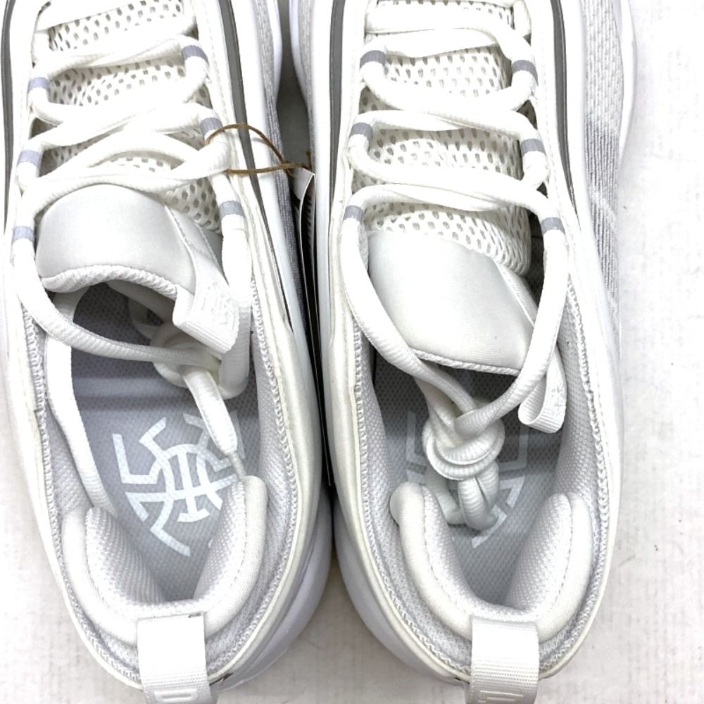 03w17433【タグ/箱付き美品】 adidas D.O.N. Issue 6 White/Silver