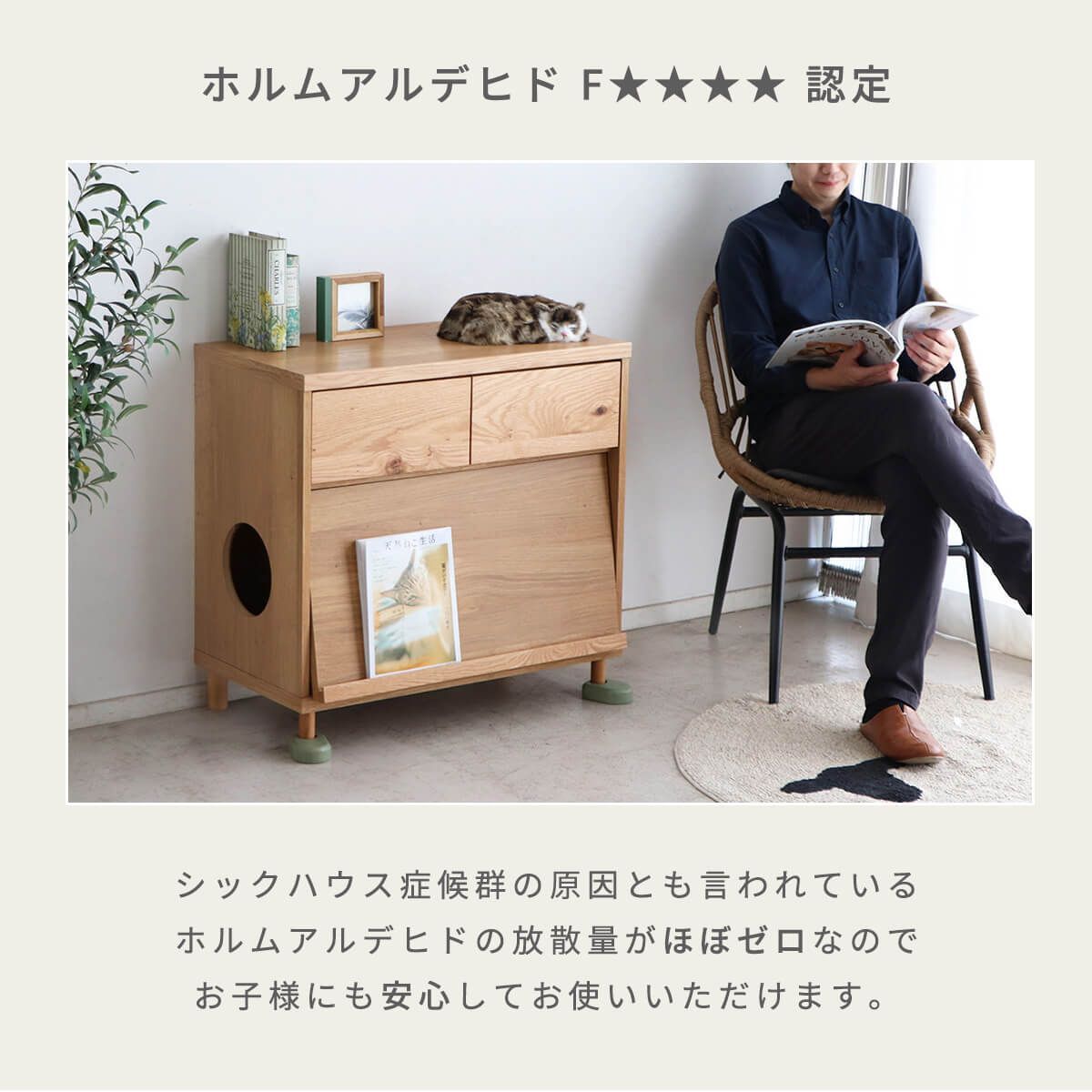 収納付き キャット