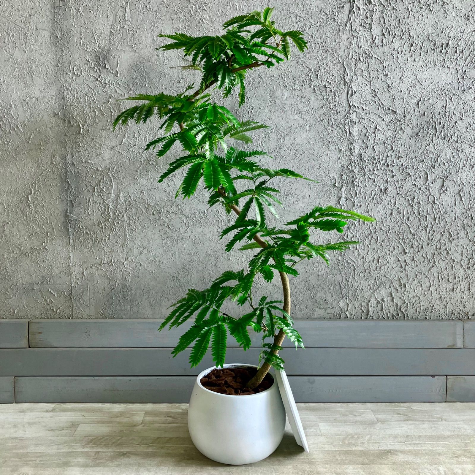 造花 アレカパームグランデポット 定価58.300円 大型 大株 人工観葉