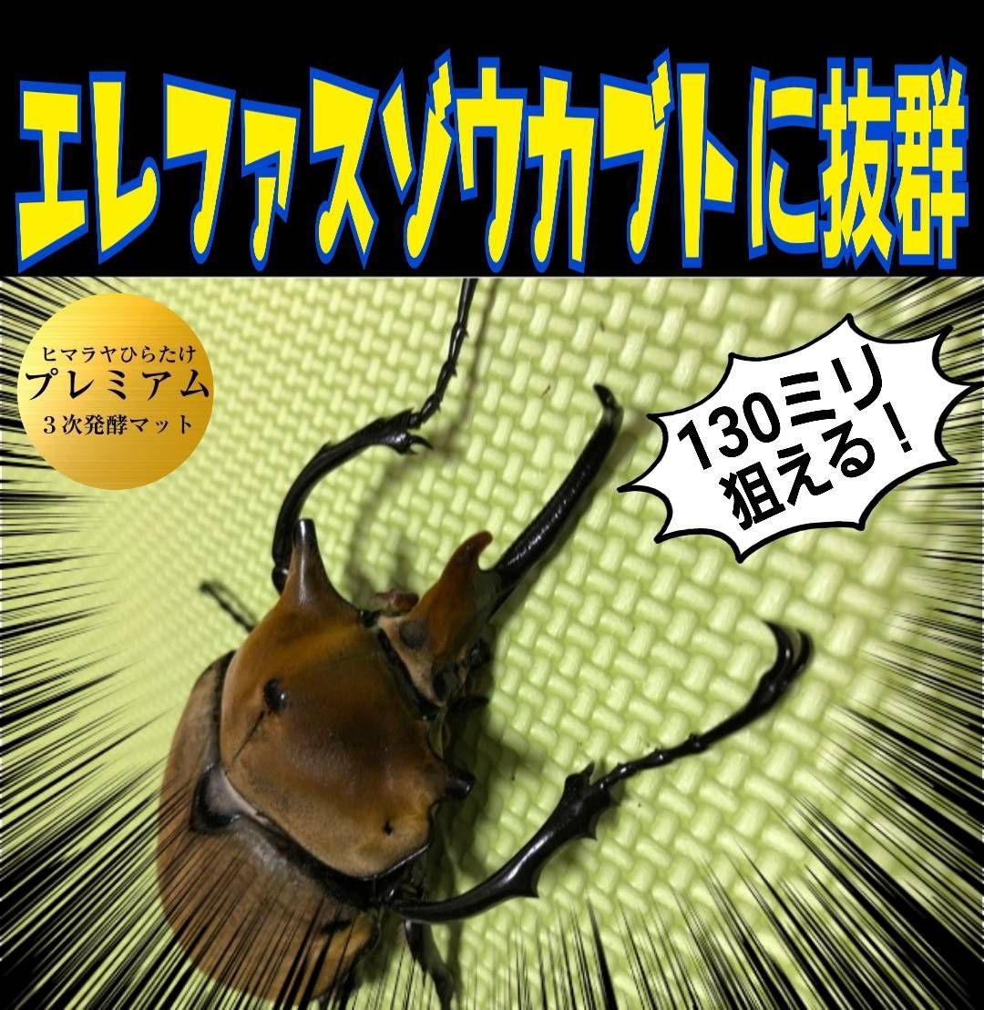 極上！プレミアム3次発酵カブトムシマット【20L】ヘラクレス180ミリ