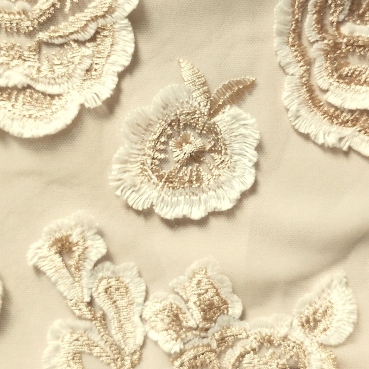 Rose Tiara(ローズティアラ) チュニック サイズ42 L レディース