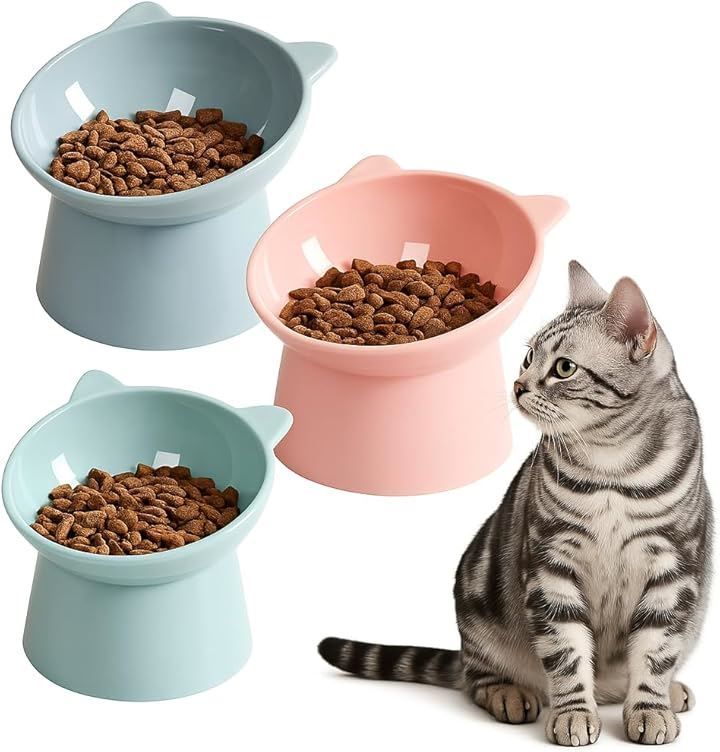 高齢 犬 理想的な高さと角度 猫 食器 快適さと健康 快適さと健康