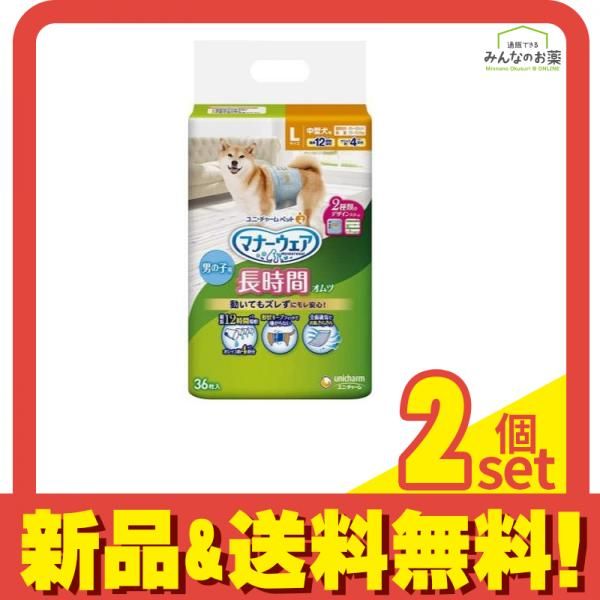 Holiday Sale】フランスアンティーク｜ヘキサゴンのテラリウム