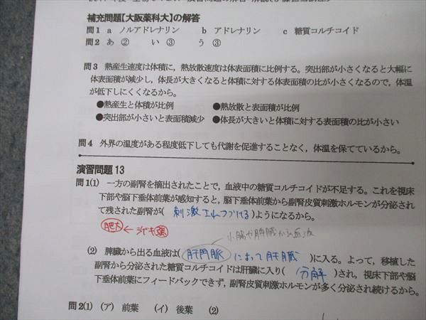 駿台 生物S Part1/2 テキスト通年セット 2017 計4冊 伊藤和修