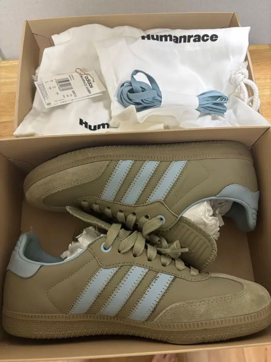 240 アディダス ファレル ウィリアムス ヒューマンレース サンバ オービット グリーン アッシュ グレー