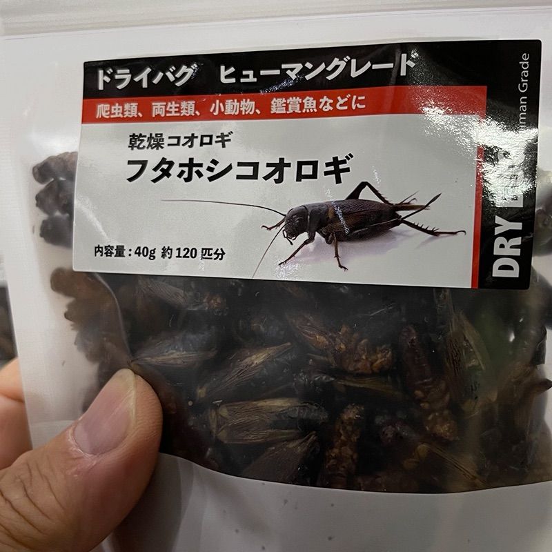 正規逆輸入品 爬虫類 両生類 小動物 魚用 乾燥コオロギ30g Www Anavara Com