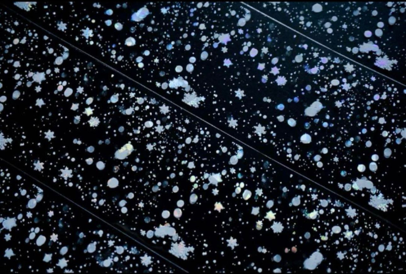 贝壳光 星尘雪迹 6cm×5m 100cm|loop 海外マスキングテープ