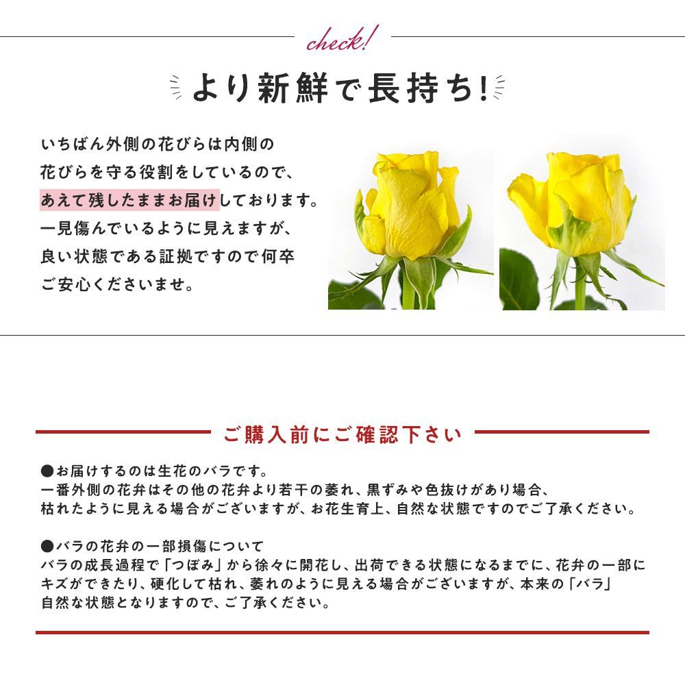 銀座の赤バラ アレンジメント 100本 薔薇 季節の花束 土日も出荷 薔薇