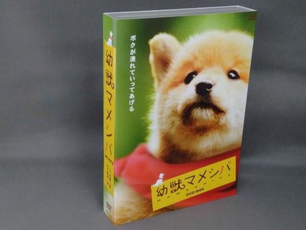 幻獣マメシバ　DVD-BOX Amazon.co.jp: 幼獣マメシバ DVD-BOX : 佐藤二朗, 高橋洋, 藤田