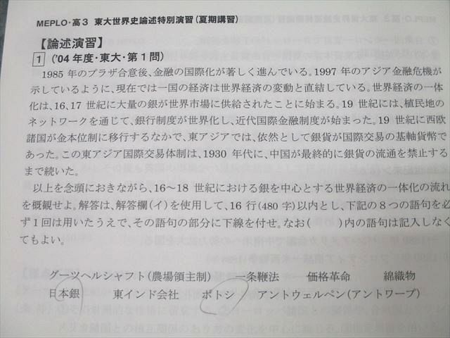 河合塾MEPLO 東京大学 東大世界史論述特別演習(大論述対策・特別