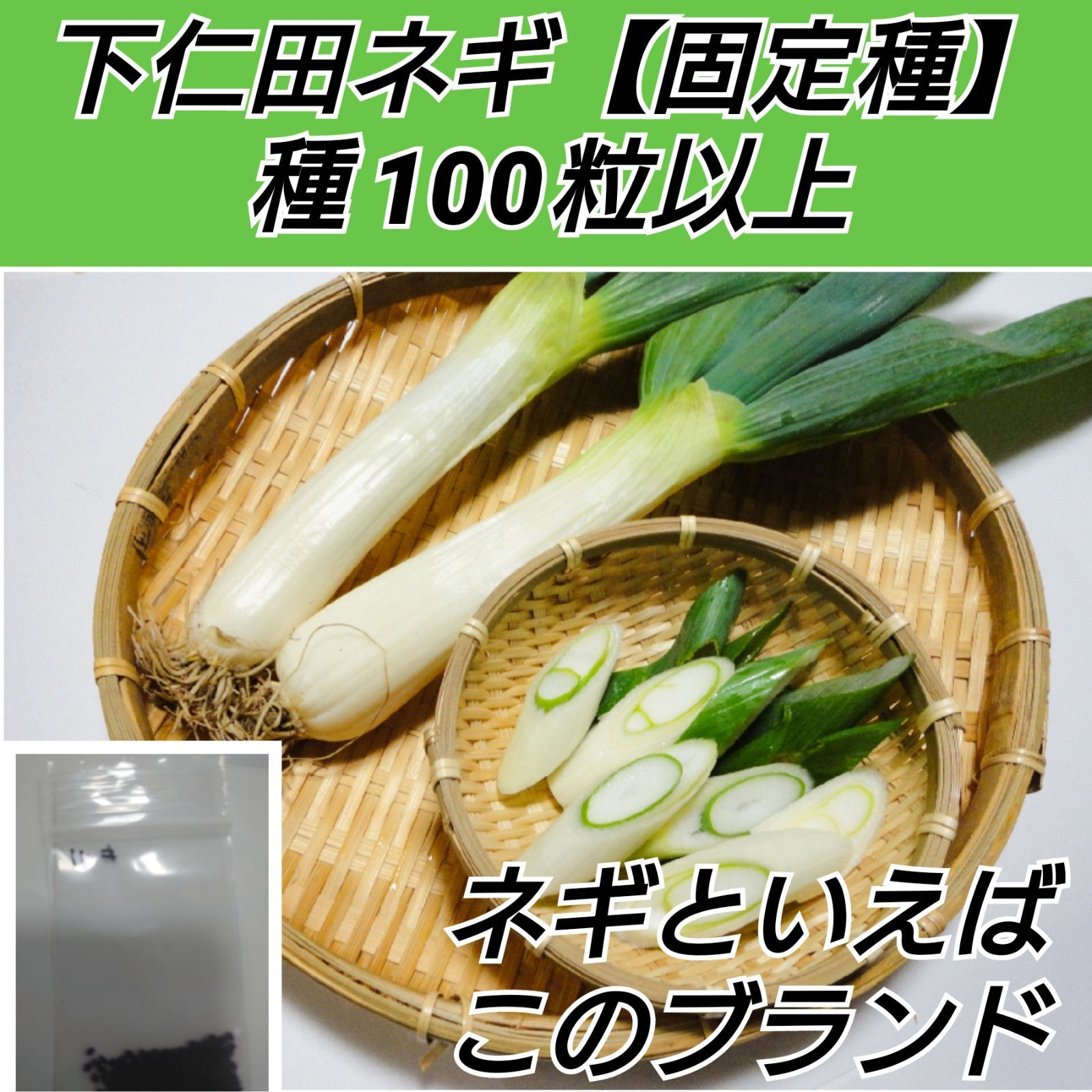 ネギ苗100本 - 野菜