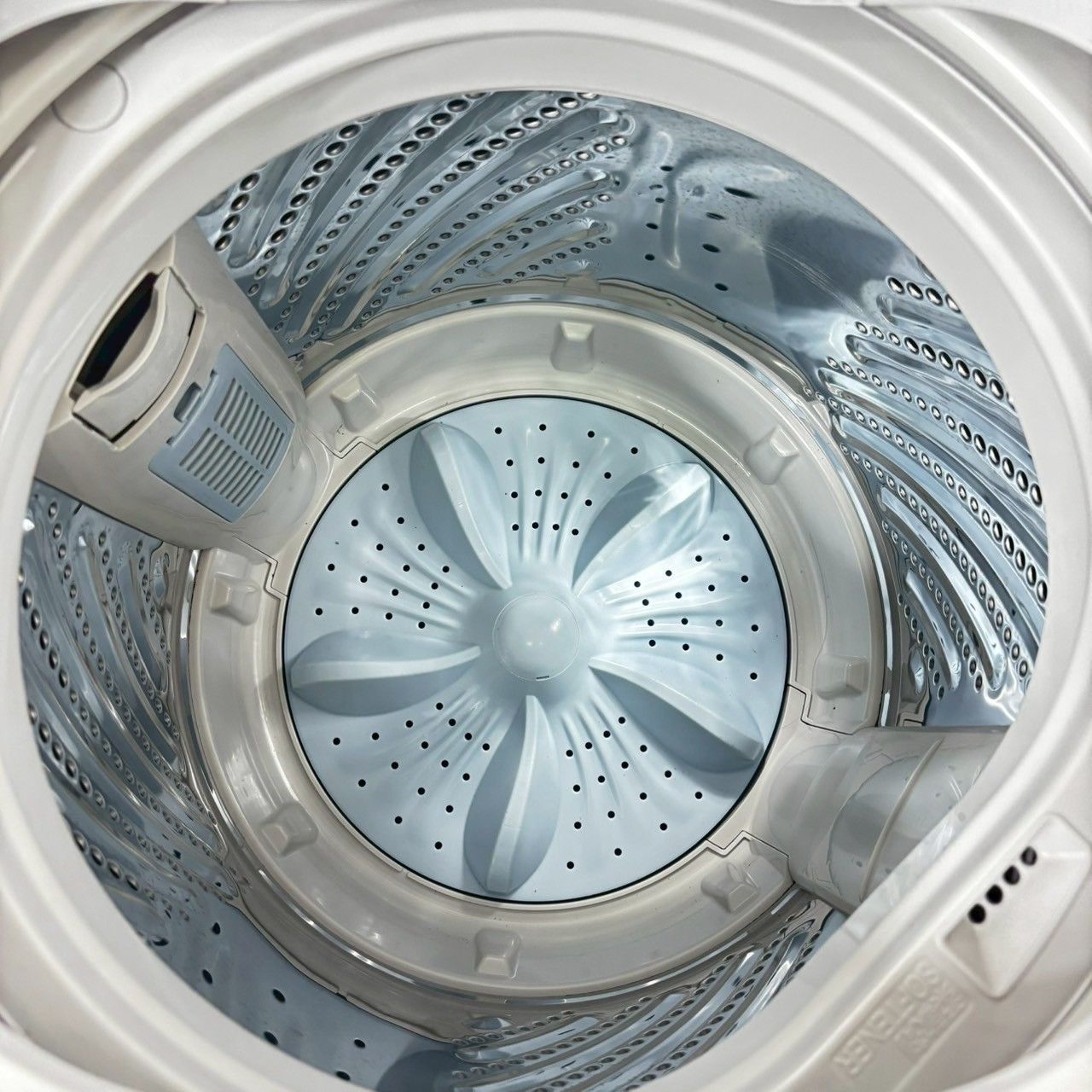 2022年製】 Hisense ハイセンス HW-E5504 洗濯機 5.5kg 【公式通販】