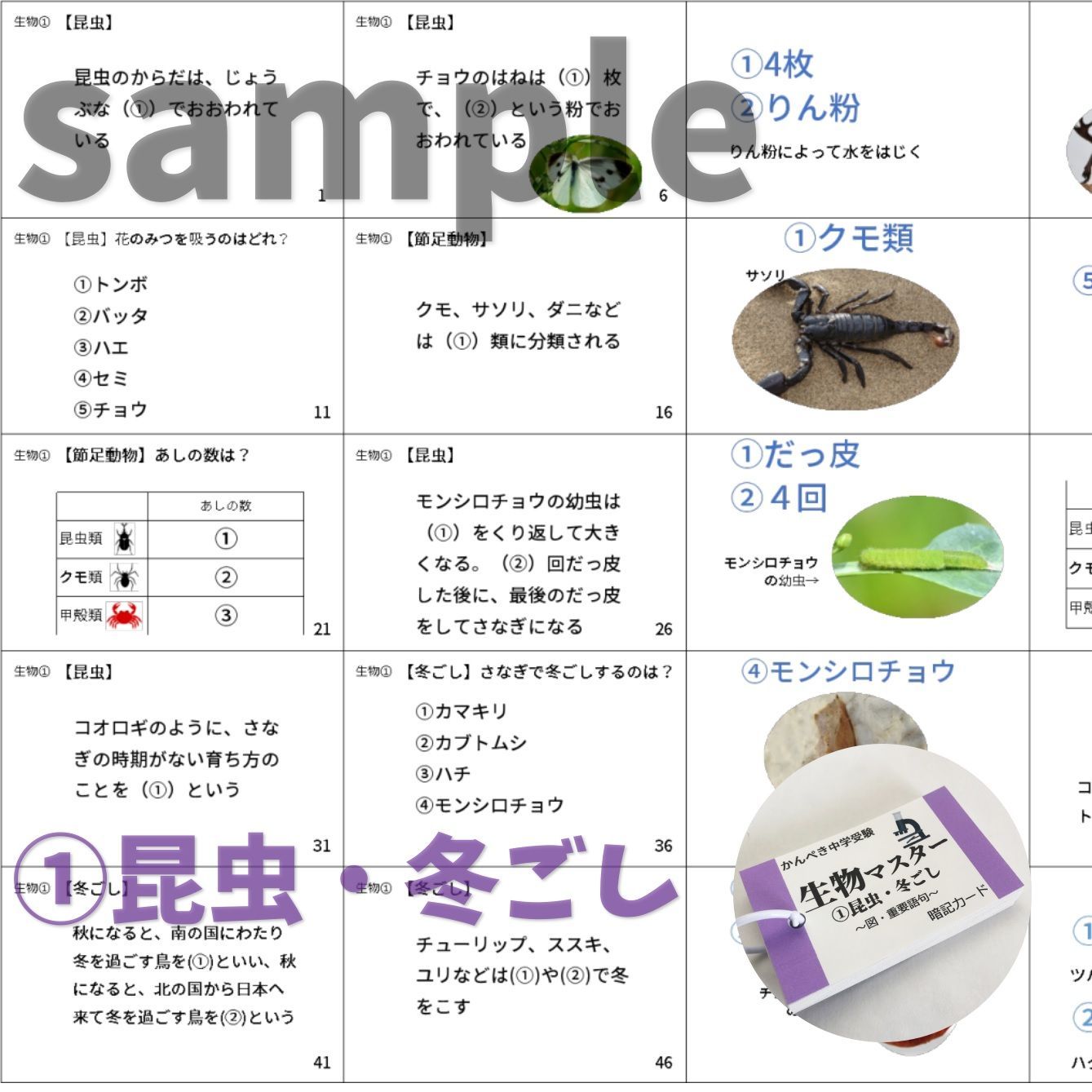 中学受験理科 生物マスター①~⑨ 暗記カード 一問一答 まとめ 中学 中学受験理科 生物マスター①~⑨ 暗記カード 一問一答 まとめ 中学