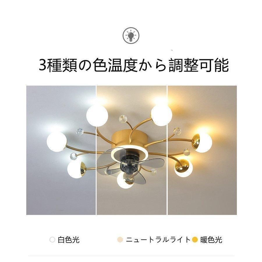 ファンライト
