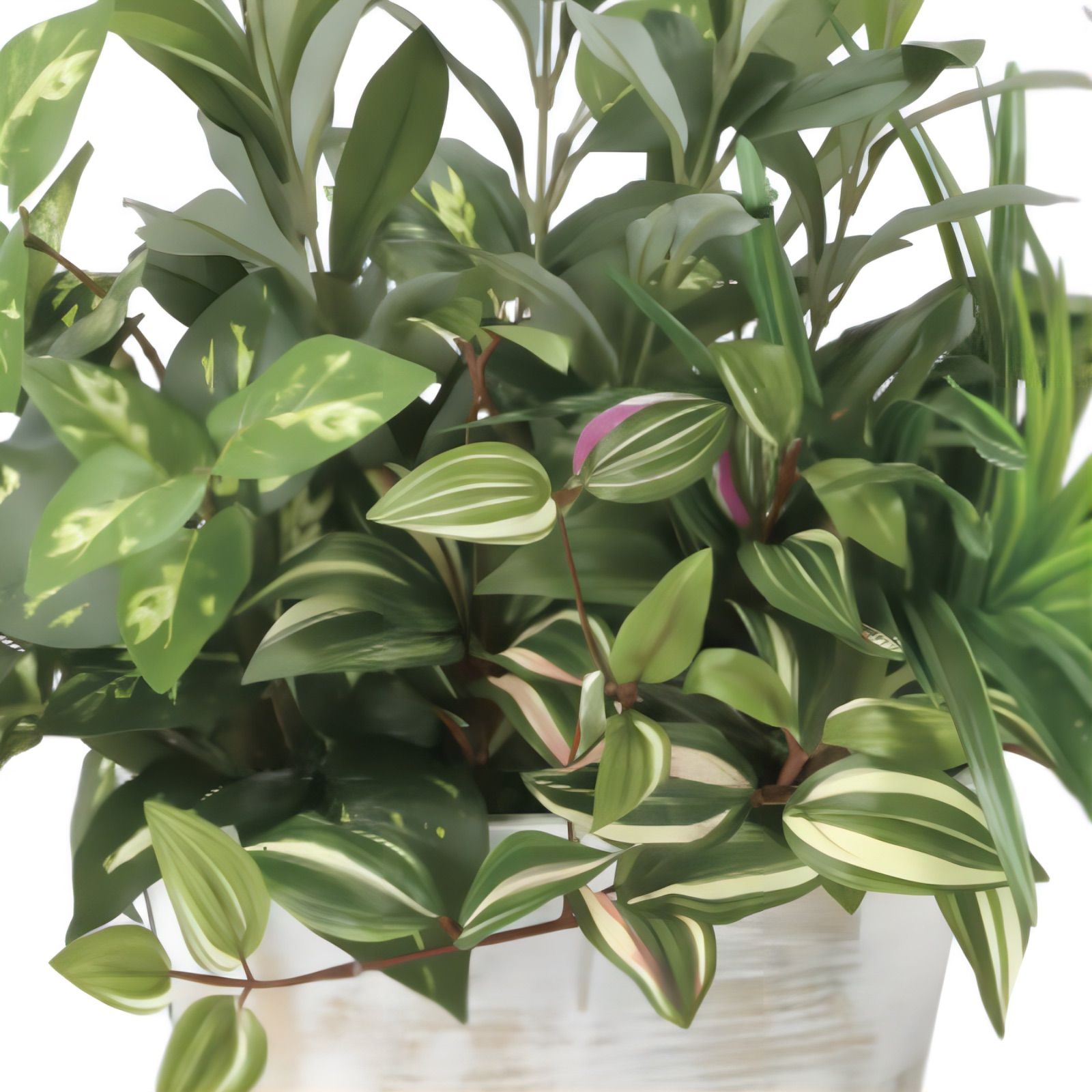 光触媒 人工観葉植物 ウォールグリーン フェイクグリーン 寄せ植え