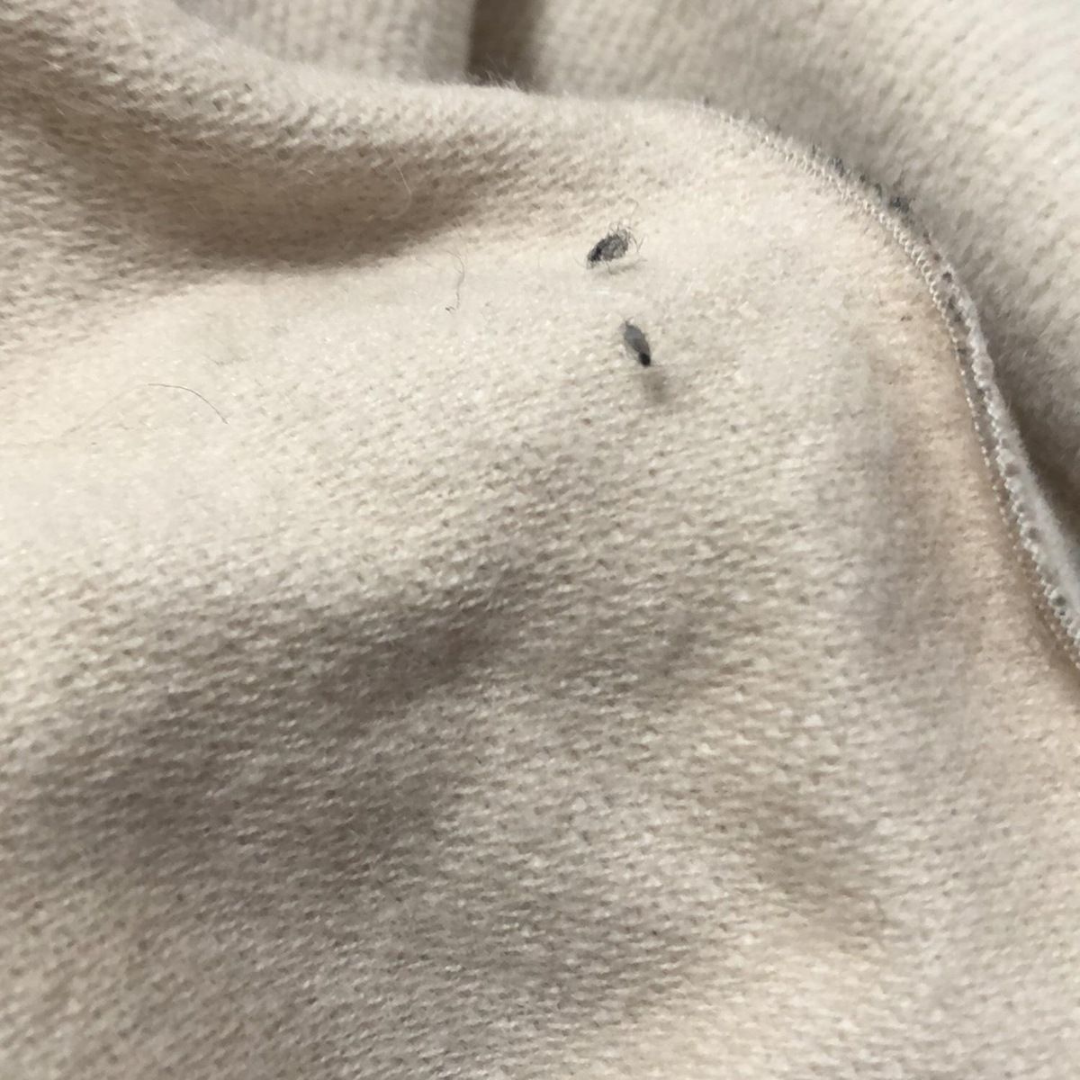 ファー取り外し可