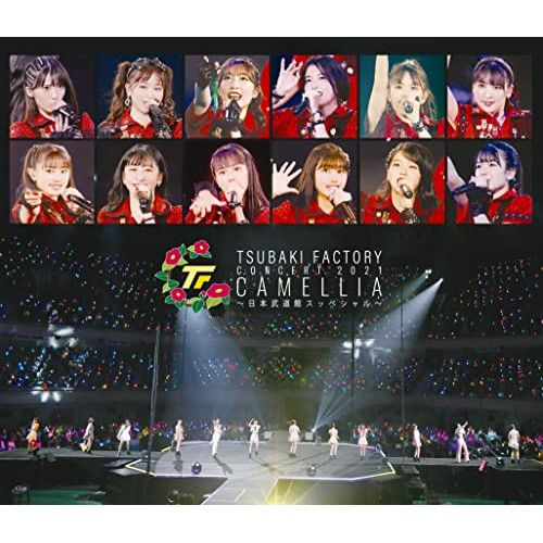 つばきファクトリー 24 冬 CAMELLIA XMAS Vol 6 DVD 2025年最新】Yahoo!オークション -つばきファクトリー dvd