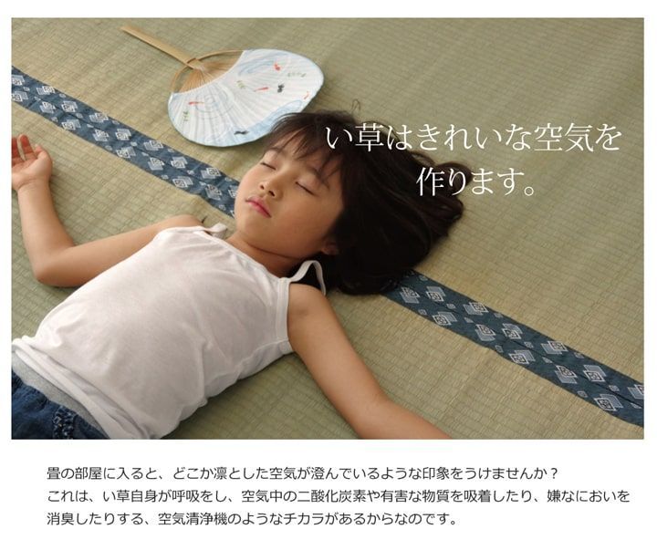 い草 上敷