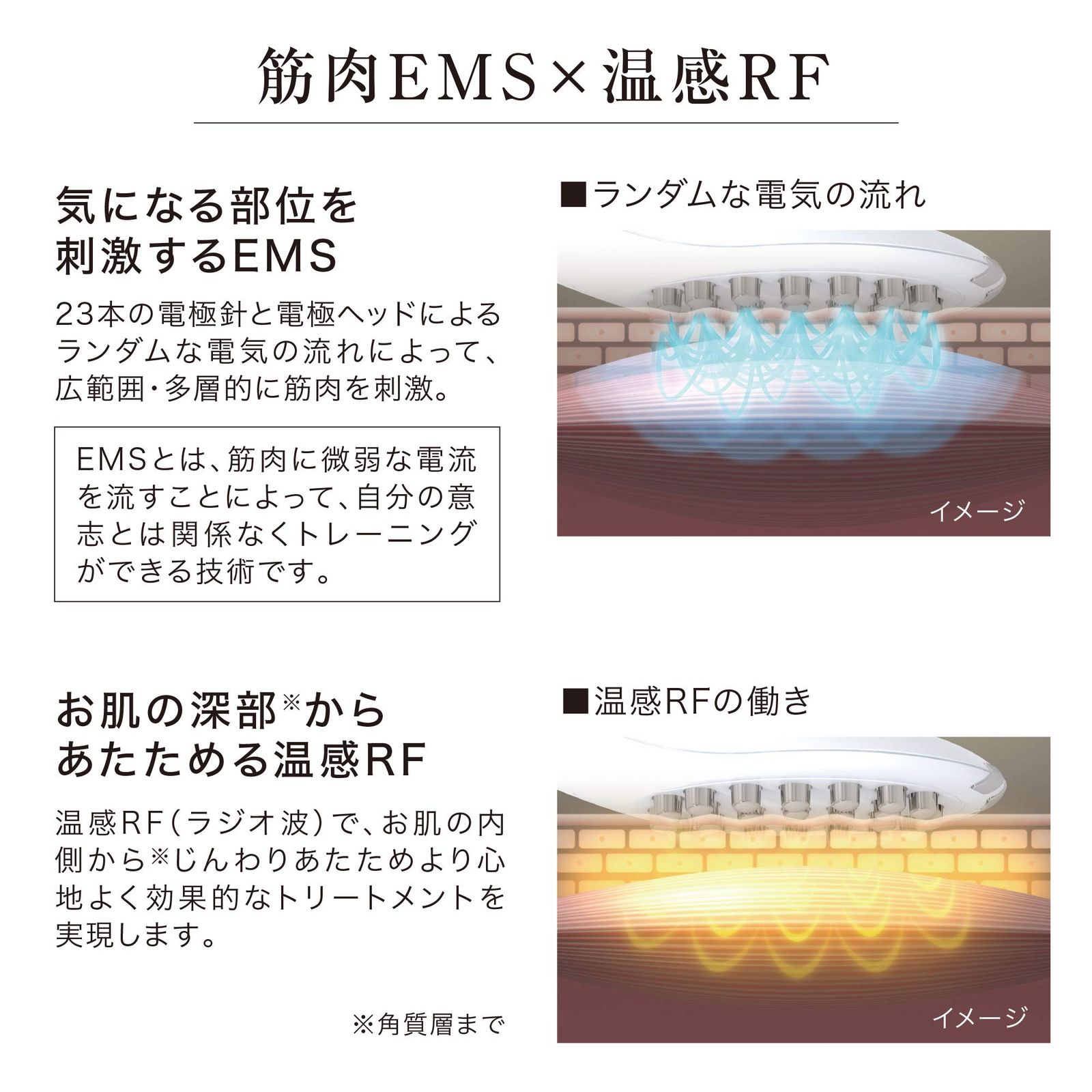 アテックス ルルド
