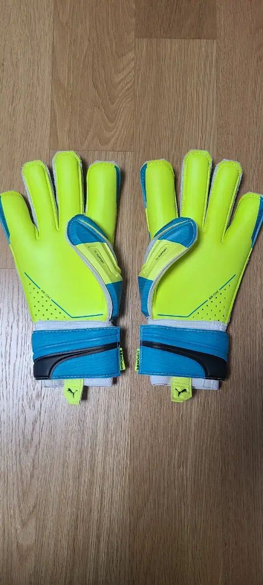 PUMA プーマ エボパワー スーパー キーパーグローブ 8 サブパラグラフ