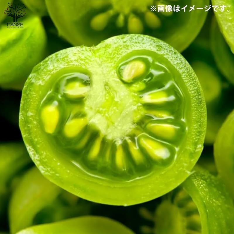 プチぷよ