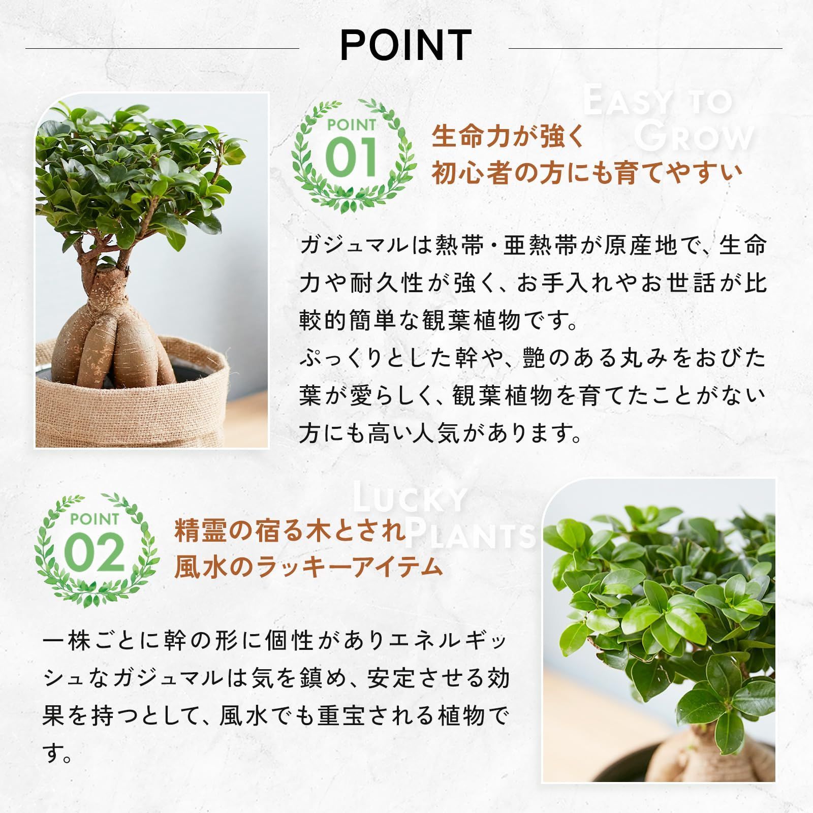 編み込みカバー