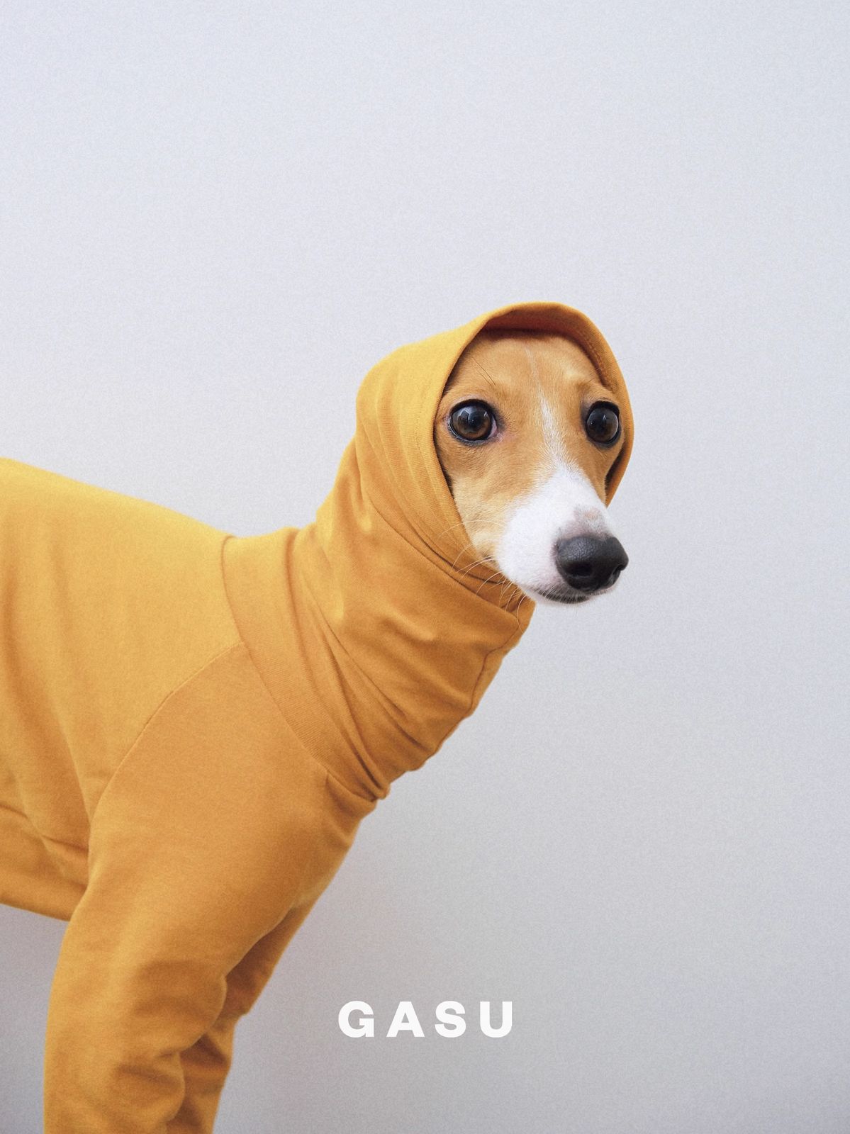 SydneyLondon 様 15kg 精米ご希望