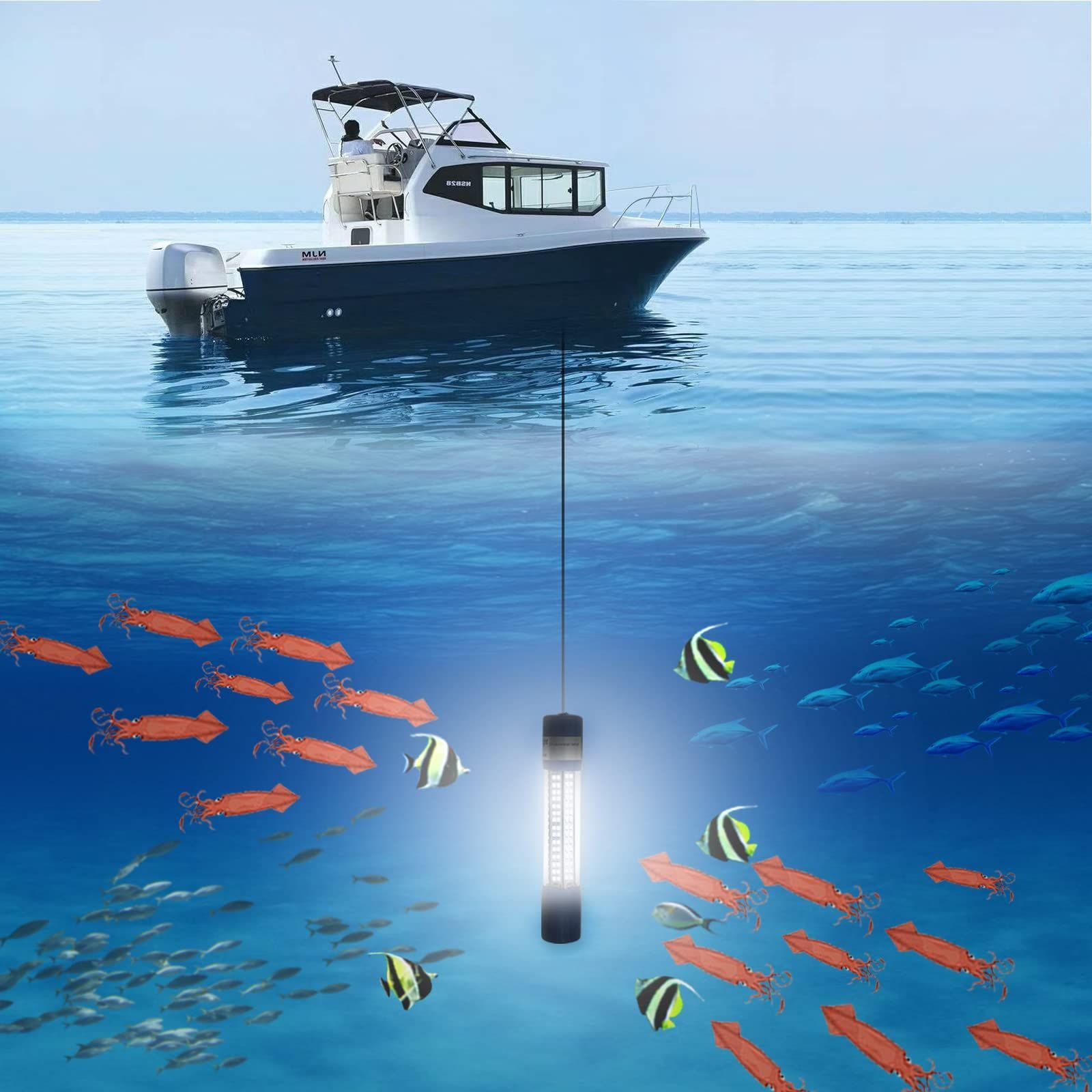 水中集魚灯 漁船 釣り