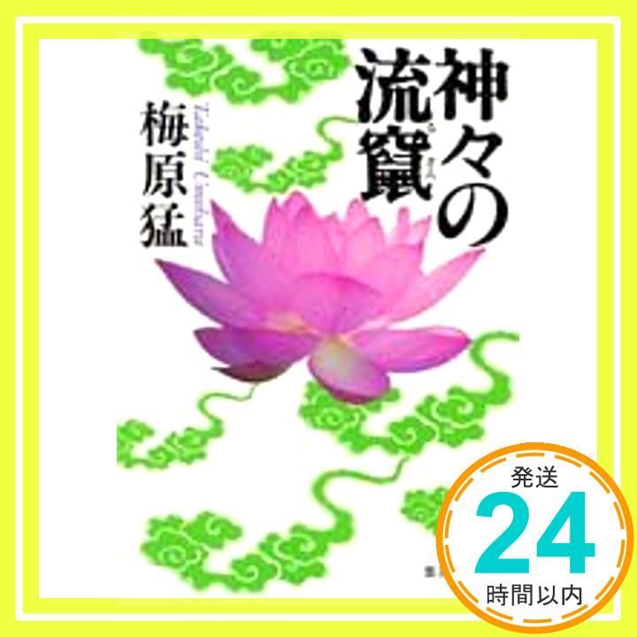 神々の流竄 集英社文庫 梅原 猛_04