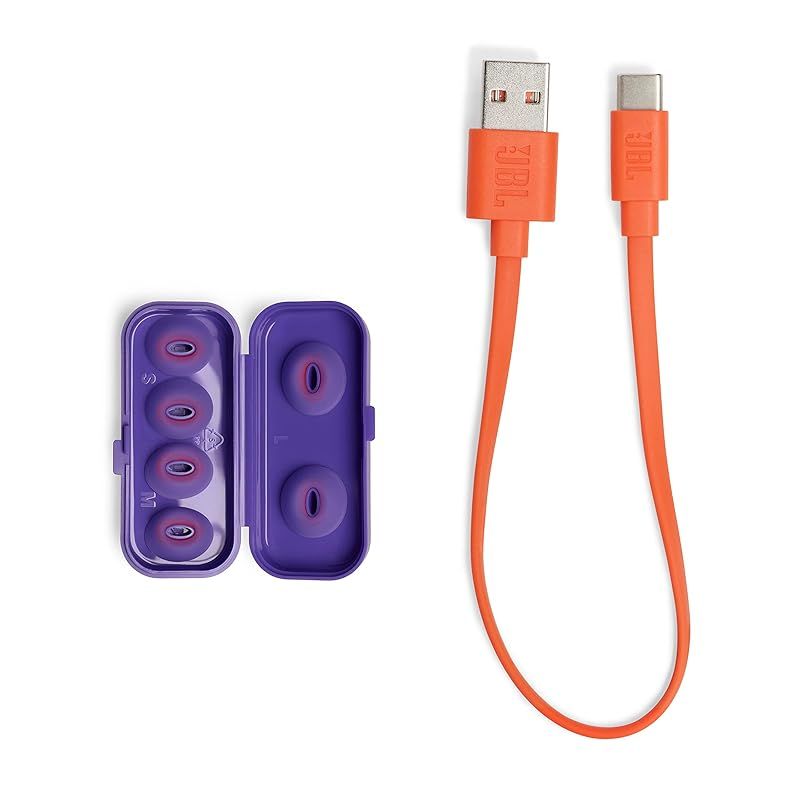 JBL TUNE FLEX GHOST 完全ワイヤレスイヤホン スケルトン