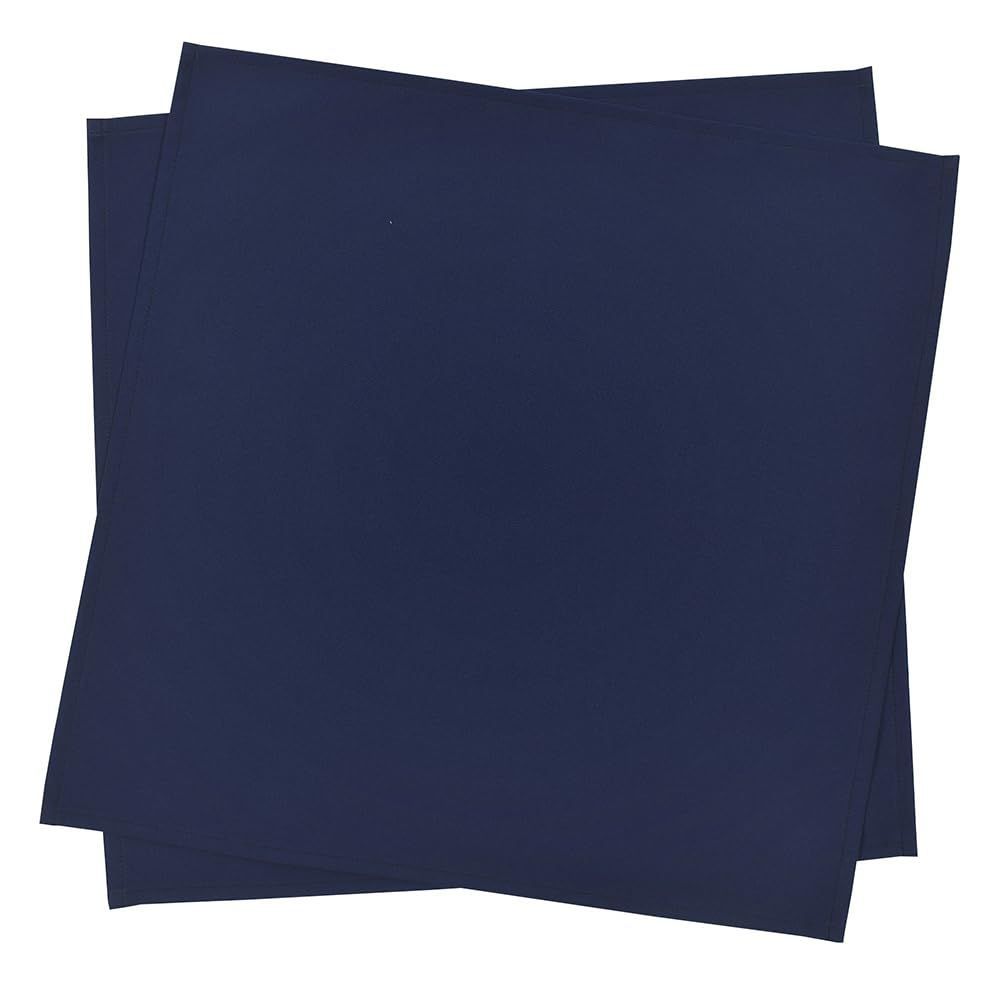 売切注意 お早めに 2枚セット ディープネイビー はっ水ノーアイロン 撥水 軽量 汚れにくい シワ防止 ランチクロス 給食ナフキン 45cm×45cm ノーアイロン 男の子 女の子 NL300700