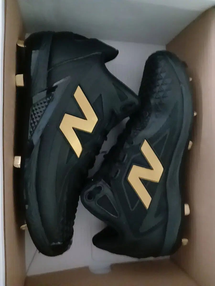 大谷 フューエルセル