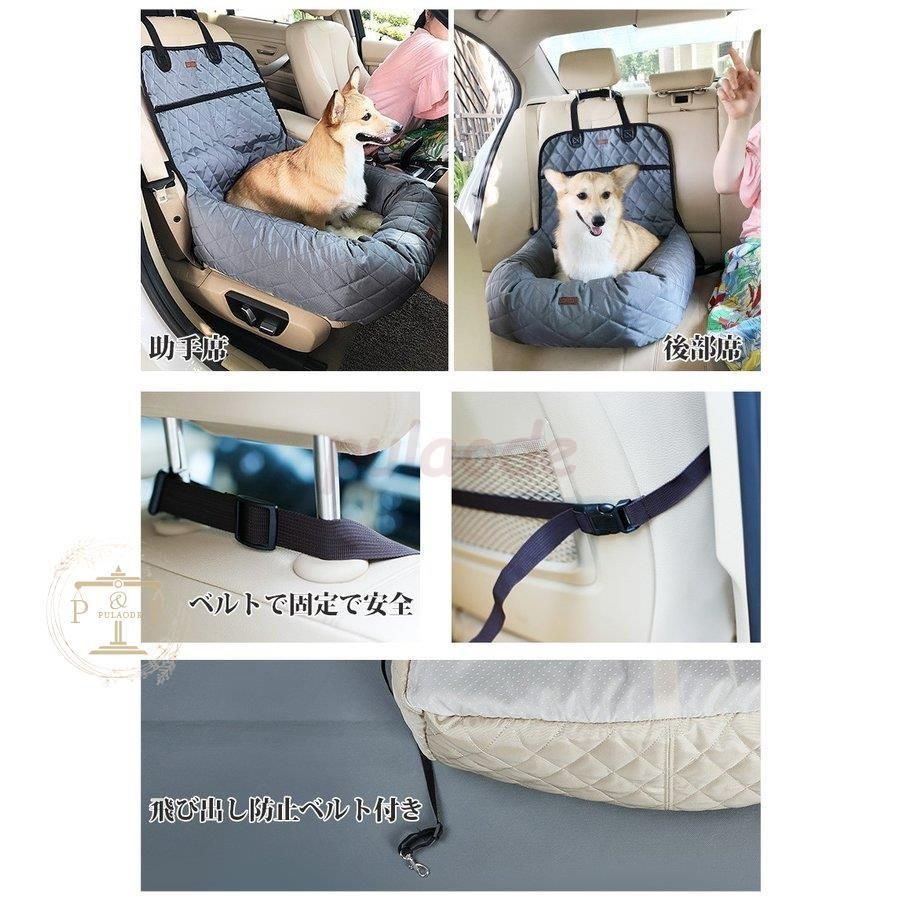 小型犬