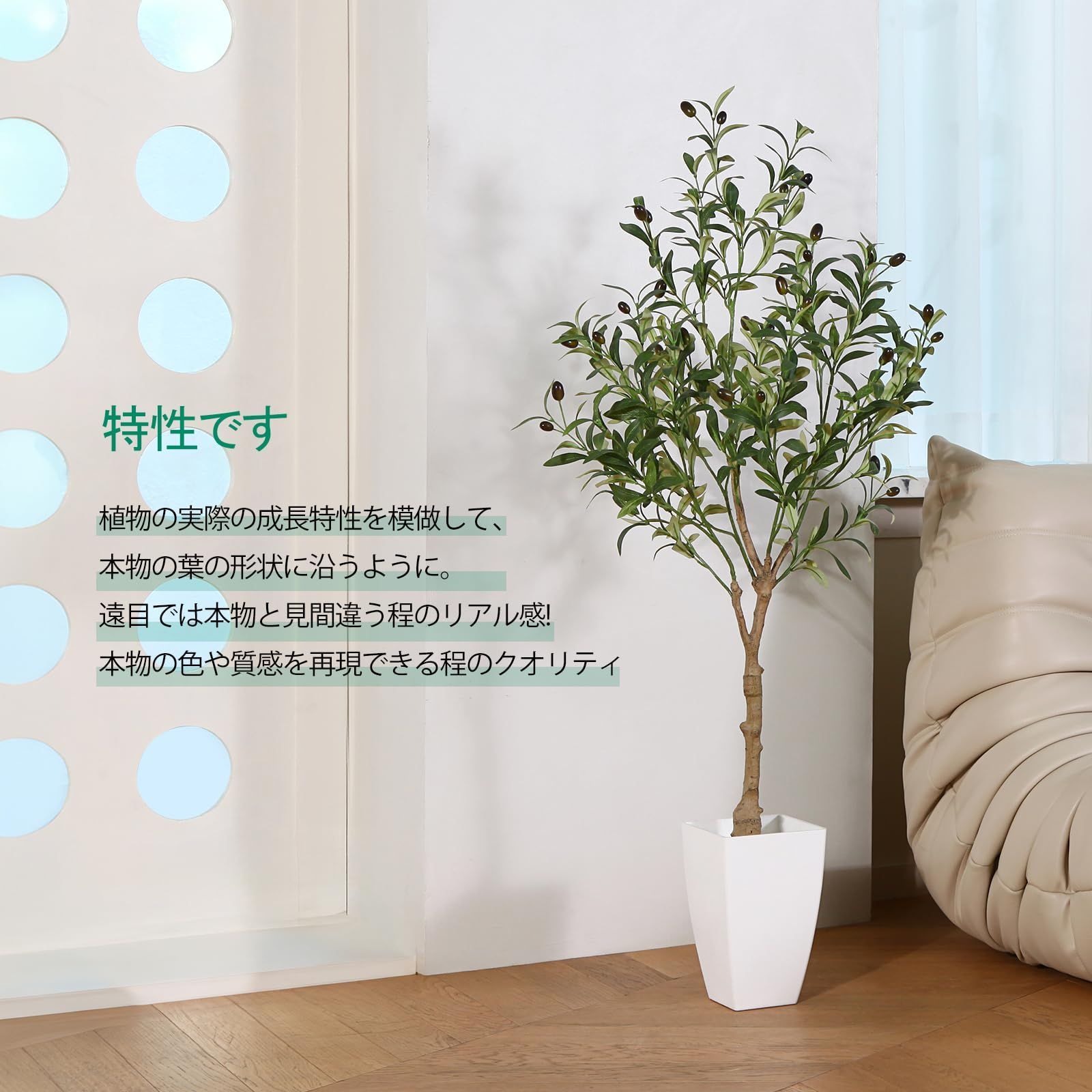 オリーブ MOSADE