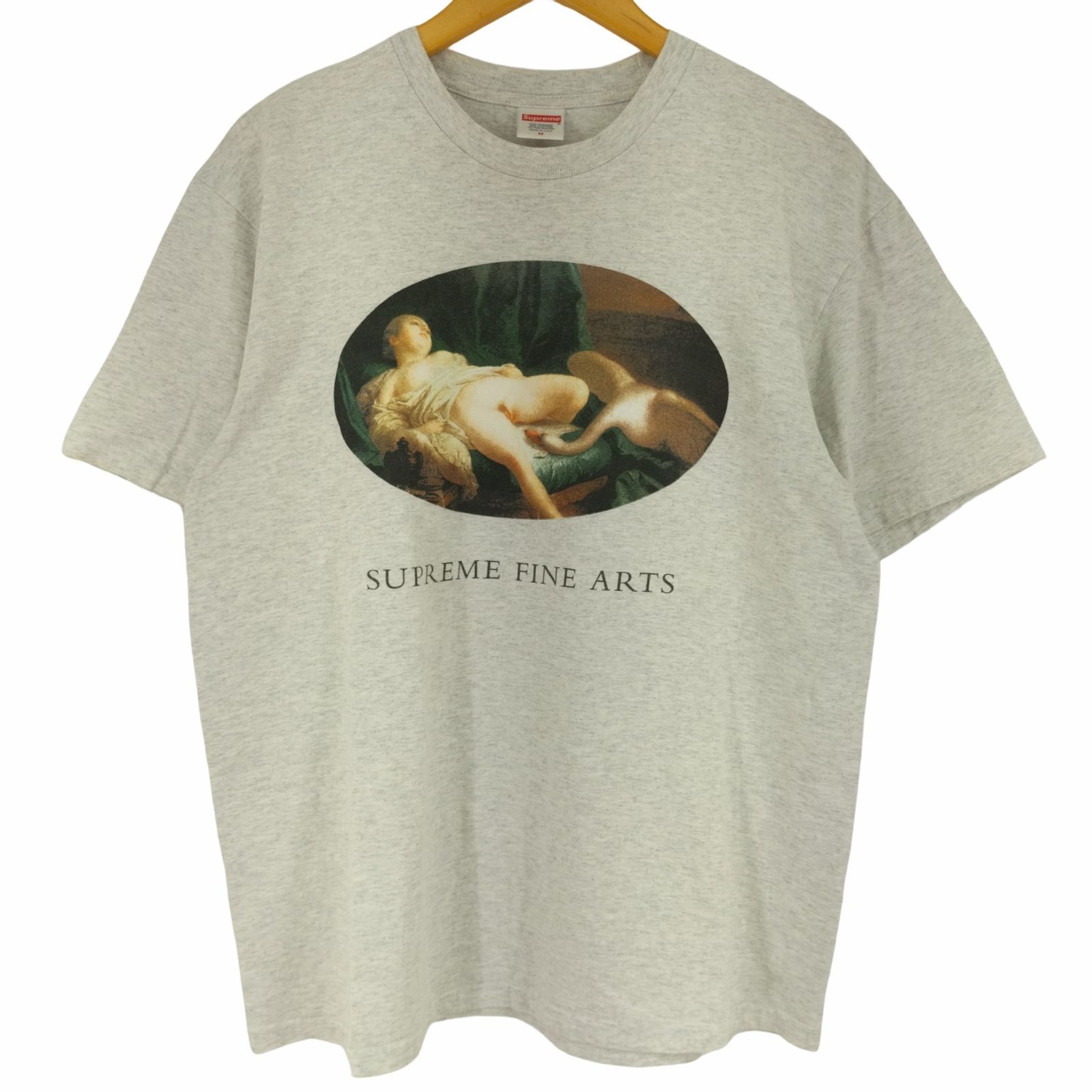 激安通販 未使用 19SS supreme Leda And The Swan Tee Mサイズ 白