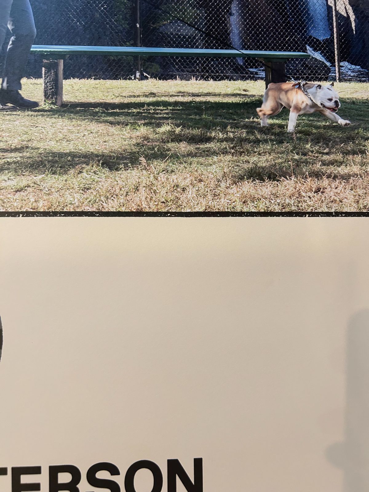 ジム・ジャームッシュ JIM JARMUSCH / パターソン Paterson 2021年